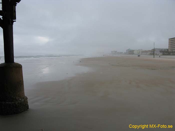 Florida 2010 2 020