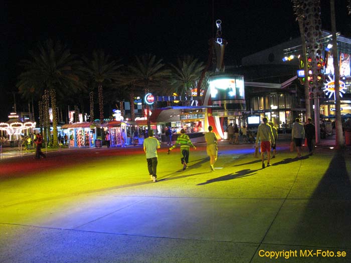 Florida 2010 2 104