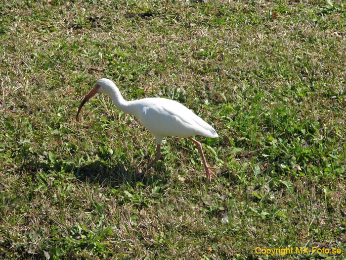 Florida 2010_0158