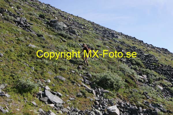 Kebnekaise 2006_0476