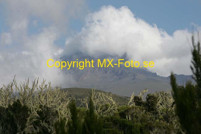 Kilimanjaro 2008_0169