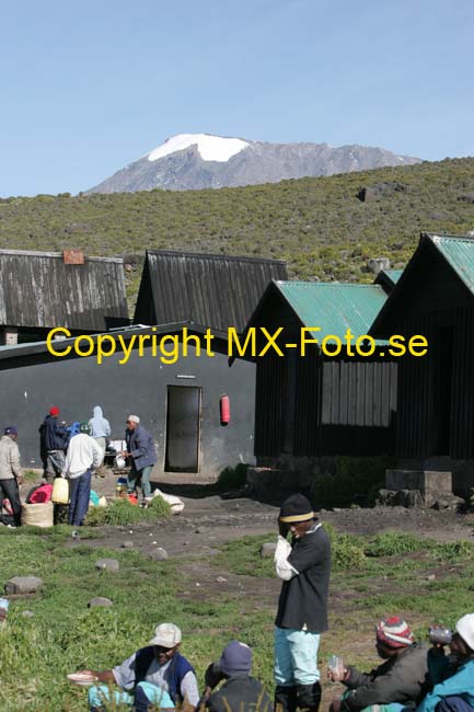 Kilimanjaro 2008_0249