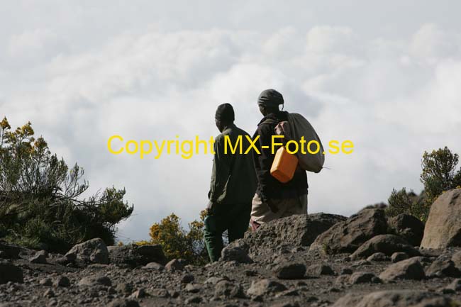 Kilimanjaro 2008_0254