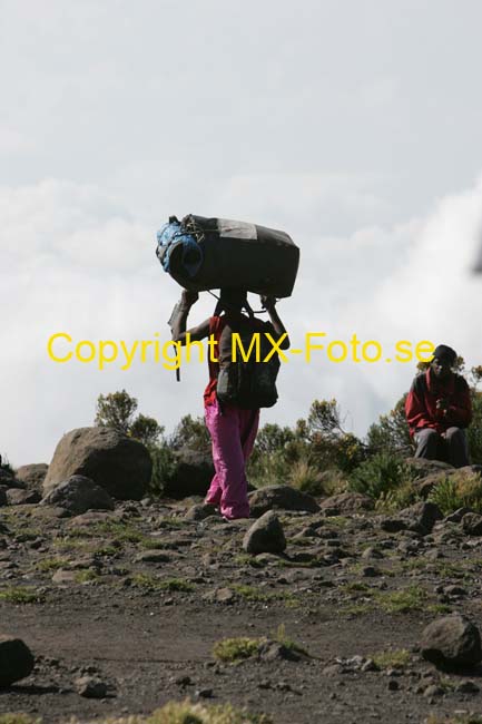 Kilimanjaro 2008_0259