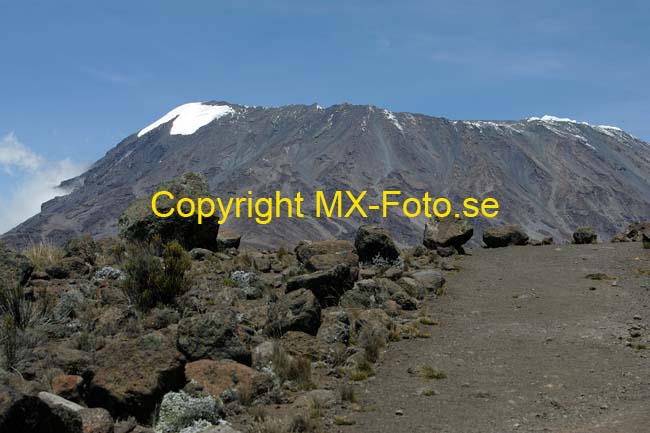 Kilimanjaro 2008_0279