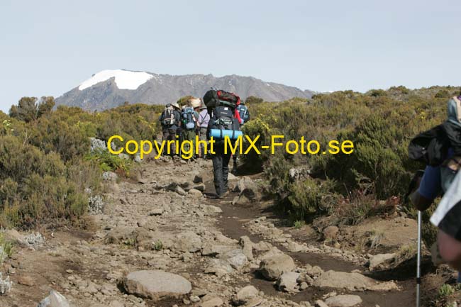 Kilimanjaro 2008_0303
