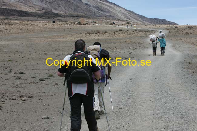 Kilimanjaro 2008_0327