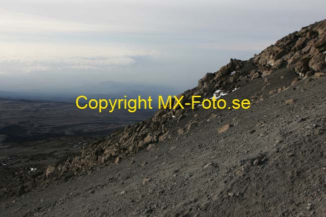 Kilimanjaro 2008_0355