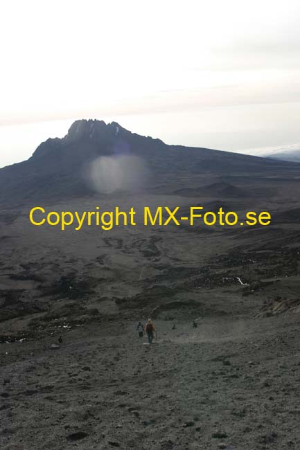 Kilimanjaro 2008_0356