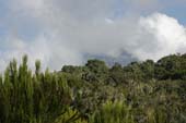 Kilimanjaro 2008_0167