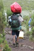 Kilimanjaro 2008_0183