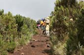 Kilimanjaro 2008_0185