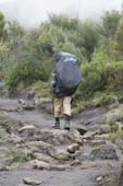 Kilimanjaro 2008_0209