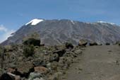 Kilimanjaro 2008_0279