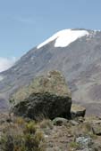 Kilimanjaro 2008_0280