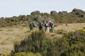 Kilimanjaro 2008_0299