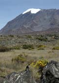 Kilimanjaro 2008_0309