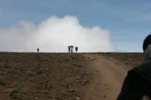 Kilimanjaro 2008_0320