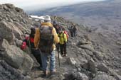 Kilimanjaro 2008_0350