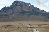 Kilimanjaro 2008_0363