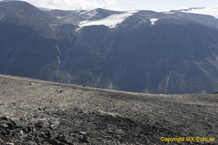 Norge 2010_0100