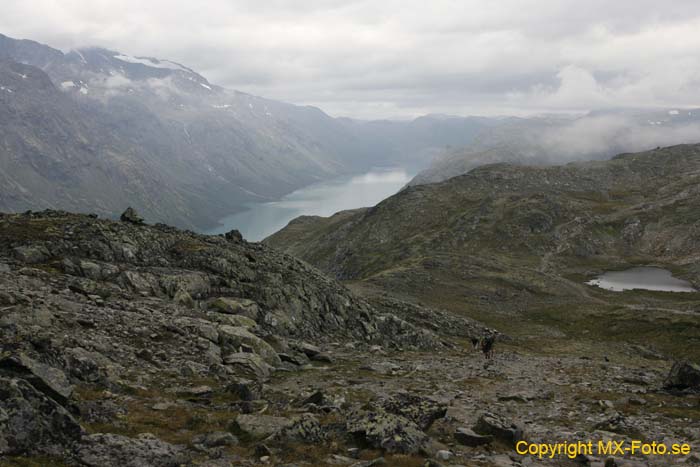 Norge 2010_0329