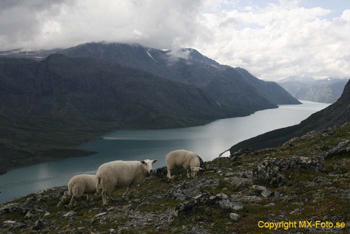 Norge 2010_0375
