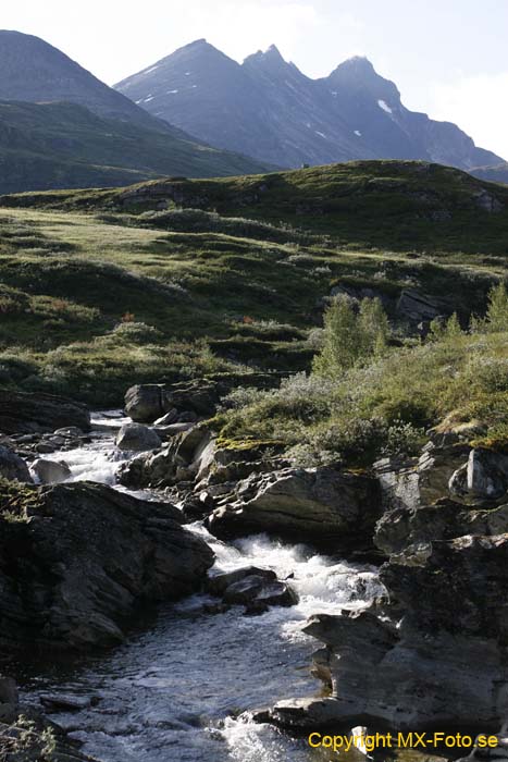 Norge 2010_0457