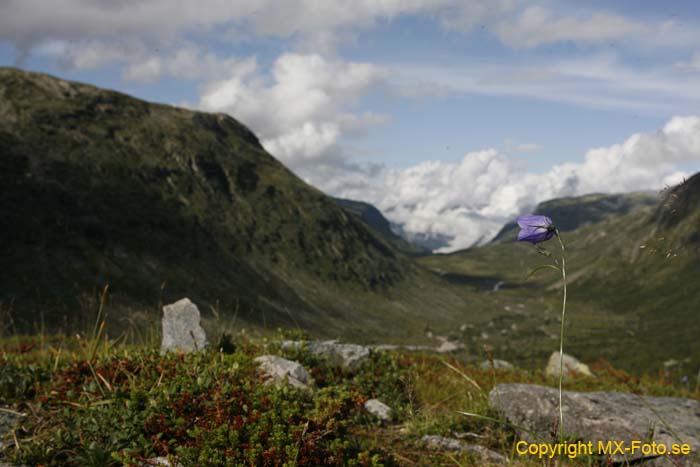 Norge 2010_0462