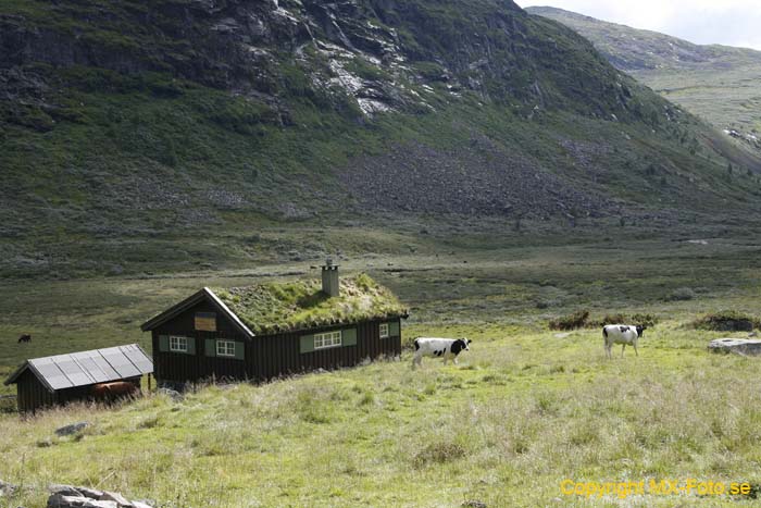 Norge 2010_0536