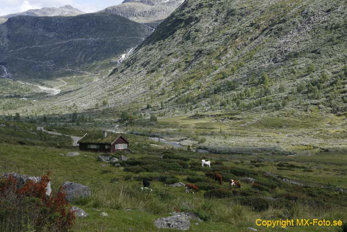 Norge 2010_0541