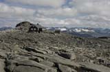 Norge 2010_0523