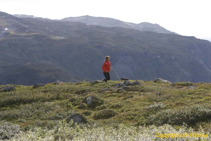 Norge 2010_0625