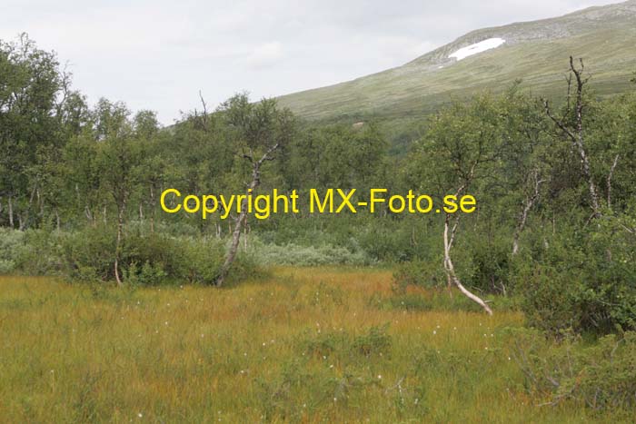Sylarna 070808_0016