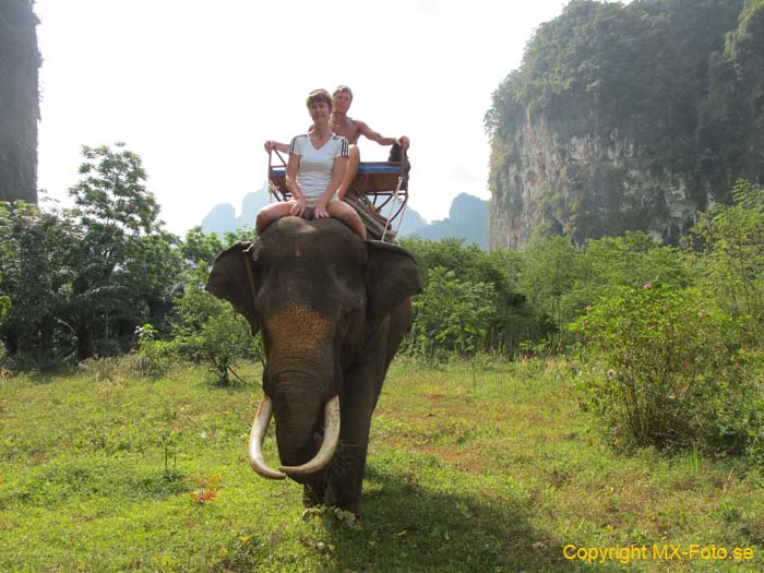 Thailand 2011 2_0565