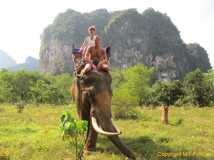 Thailand 2011 2_0568