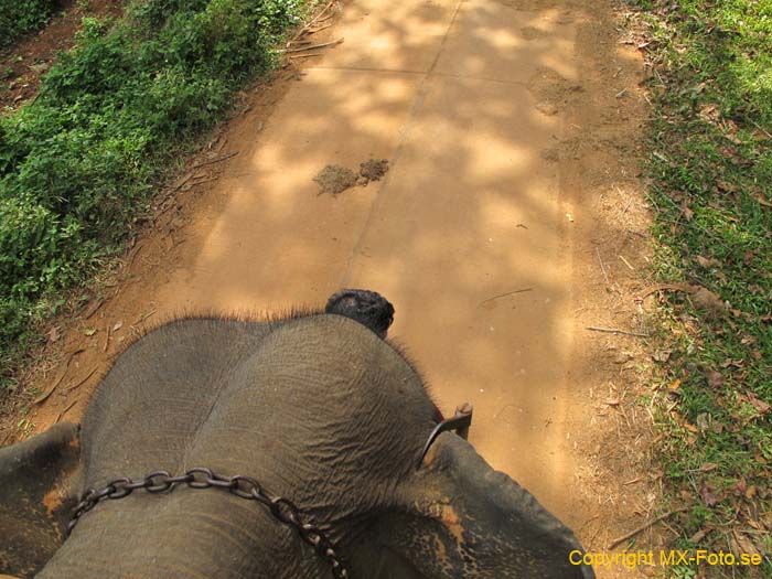 Thailand 2011 2_0583