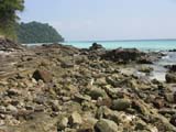 Thailand 11 uvhus_0101