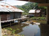 Thailand 11 uvhus_0175