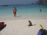 Thailand 11 uvhus_0186